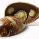 Illustration for article titled What Was Your Favourite Easter Egg In Jurassic World?